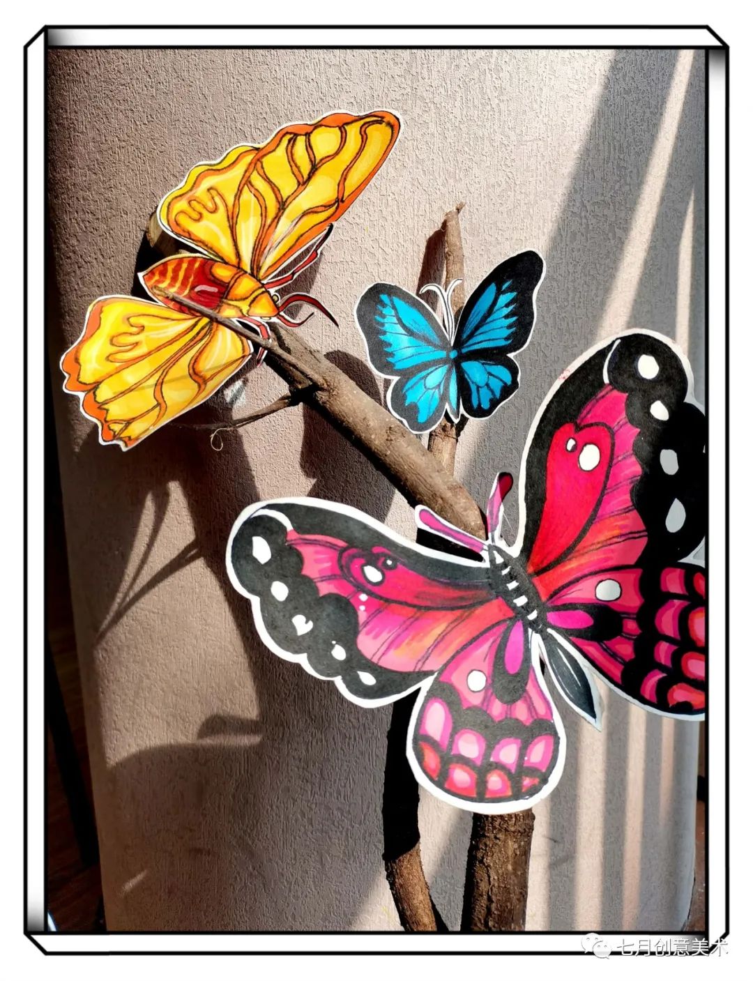 蝴蝶标本图片大全,塑封蝴蝶标本方法