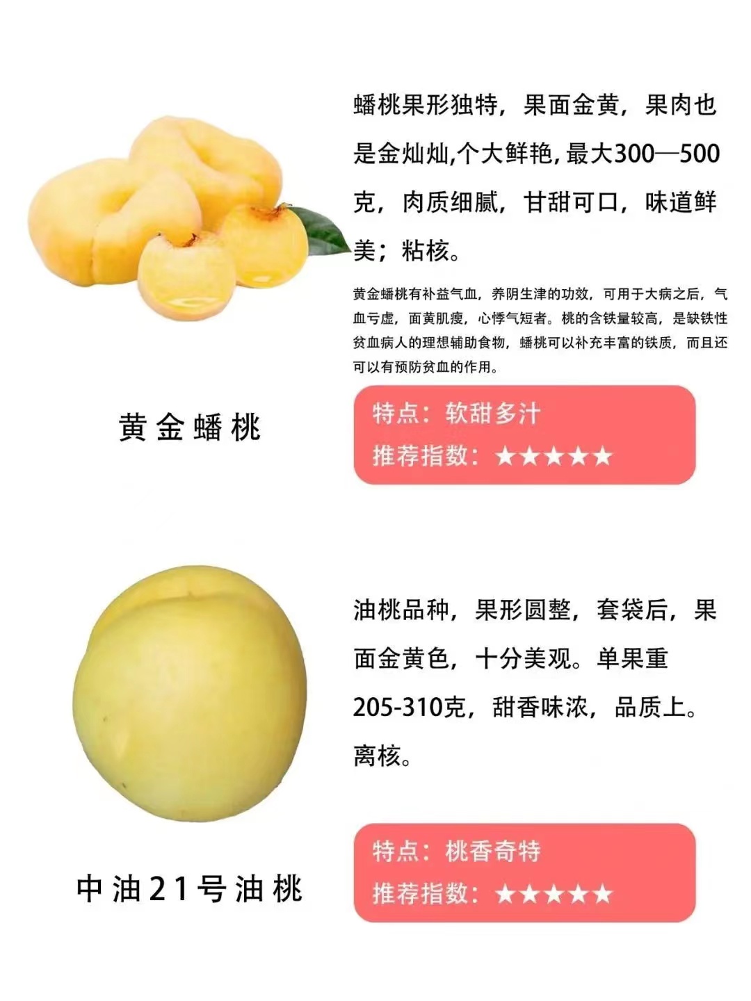 遵义桃子的品种和特点,常见的桃的品种区别有哪些