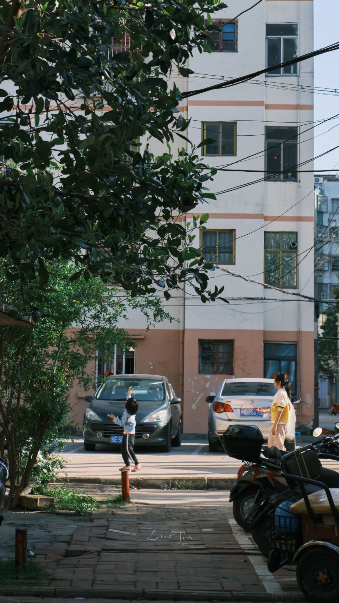 你根本没有去过侨港