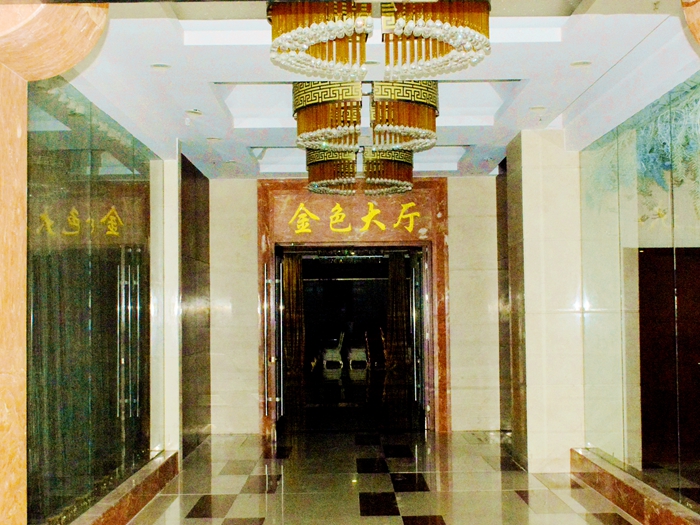 维也纳金色大厅距今有多少年历史,金色大厅纪念