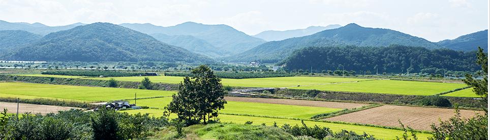 全力推进中央定点帮扶纪实,定点帮扶工作整体情况