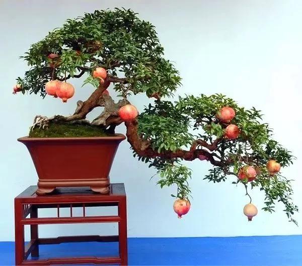 笑口常开好运自然来,笑口常开好运自然来下一句