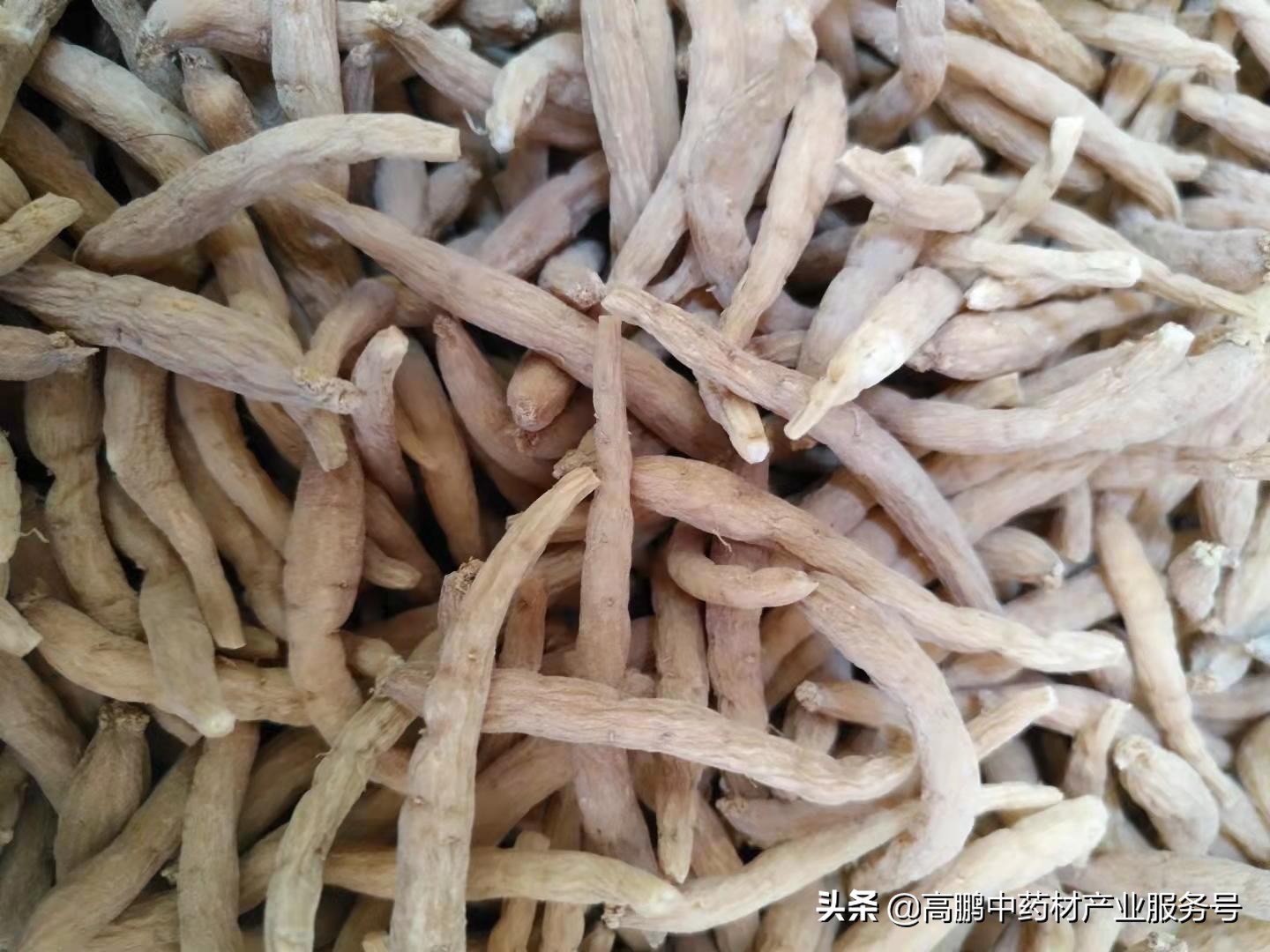 高鹏说药材：部分品种价格行情走势