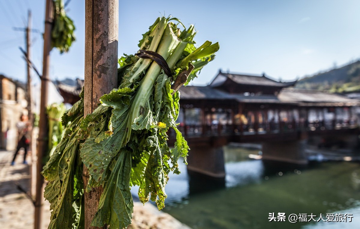 江西鄱阳湖自驾游路线攻略图大全,江西鄱阳湖自驾旅游攻略