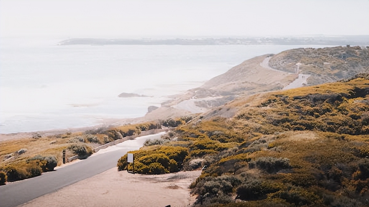 十首超好听的美文歌曲,最流行的歌曲美文