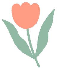 深圳市宝安自由行热门攻略,宝安旅游攻略自由行