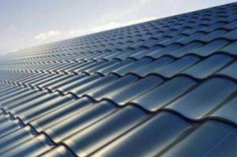 穿山甲机器人简介,体内穿山甲微型机器人