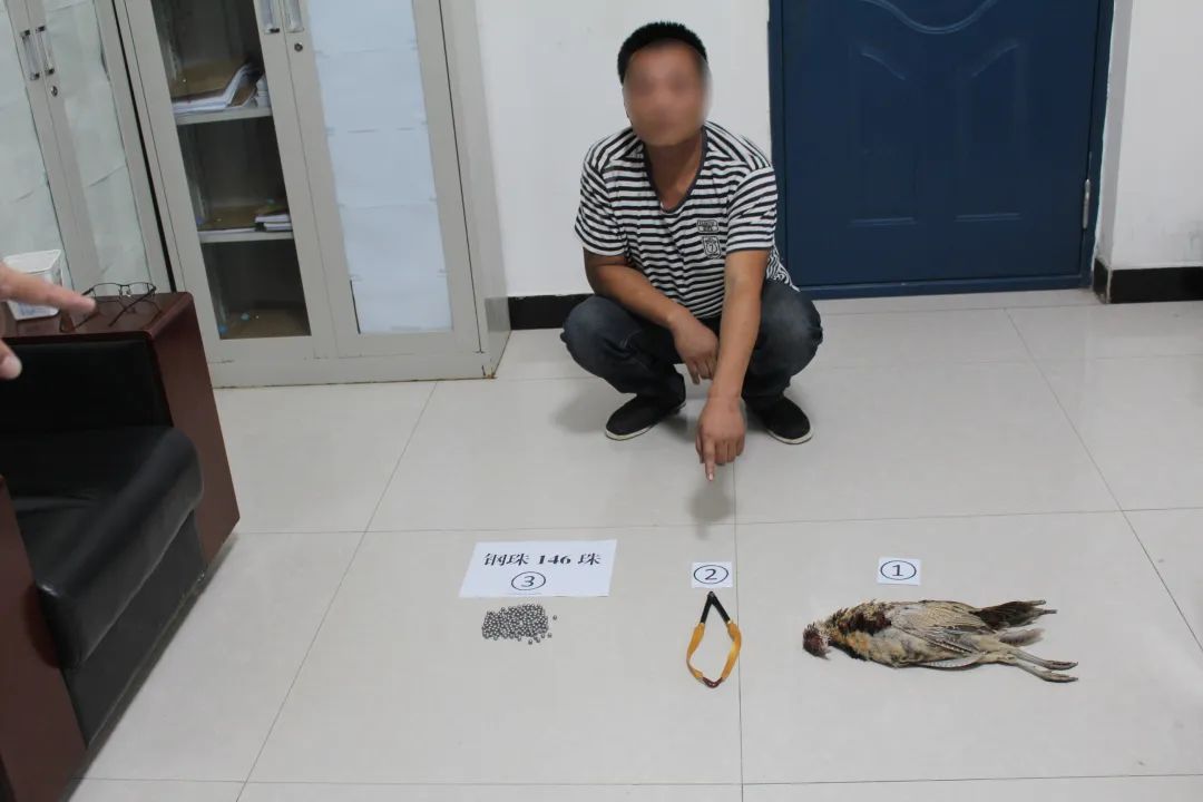 市公安局快速破获一起非法狩猎案,金溪县破获一起非法狩猎案件