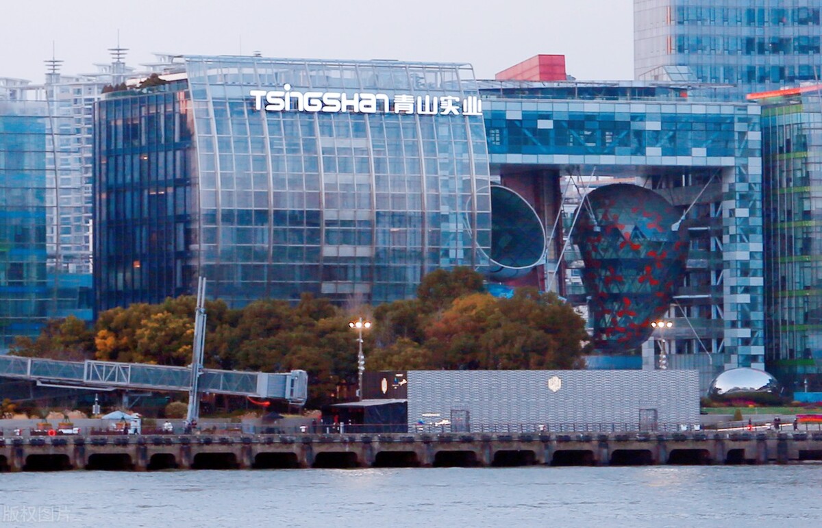 青山控股怎么拿出来的镍,青山控股的镍是什么品种