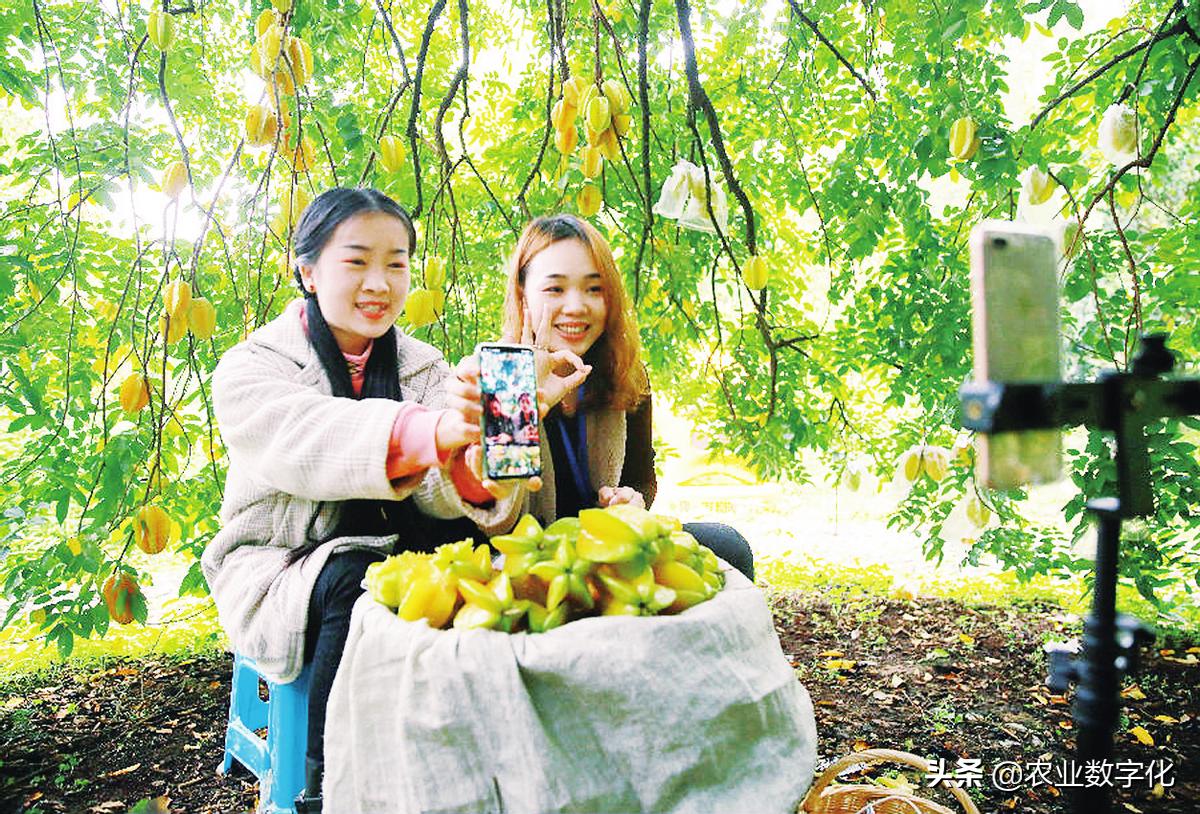 乡村振兴中农业发展有哪些机遇,乡村振兴农业产业发展思路与对策