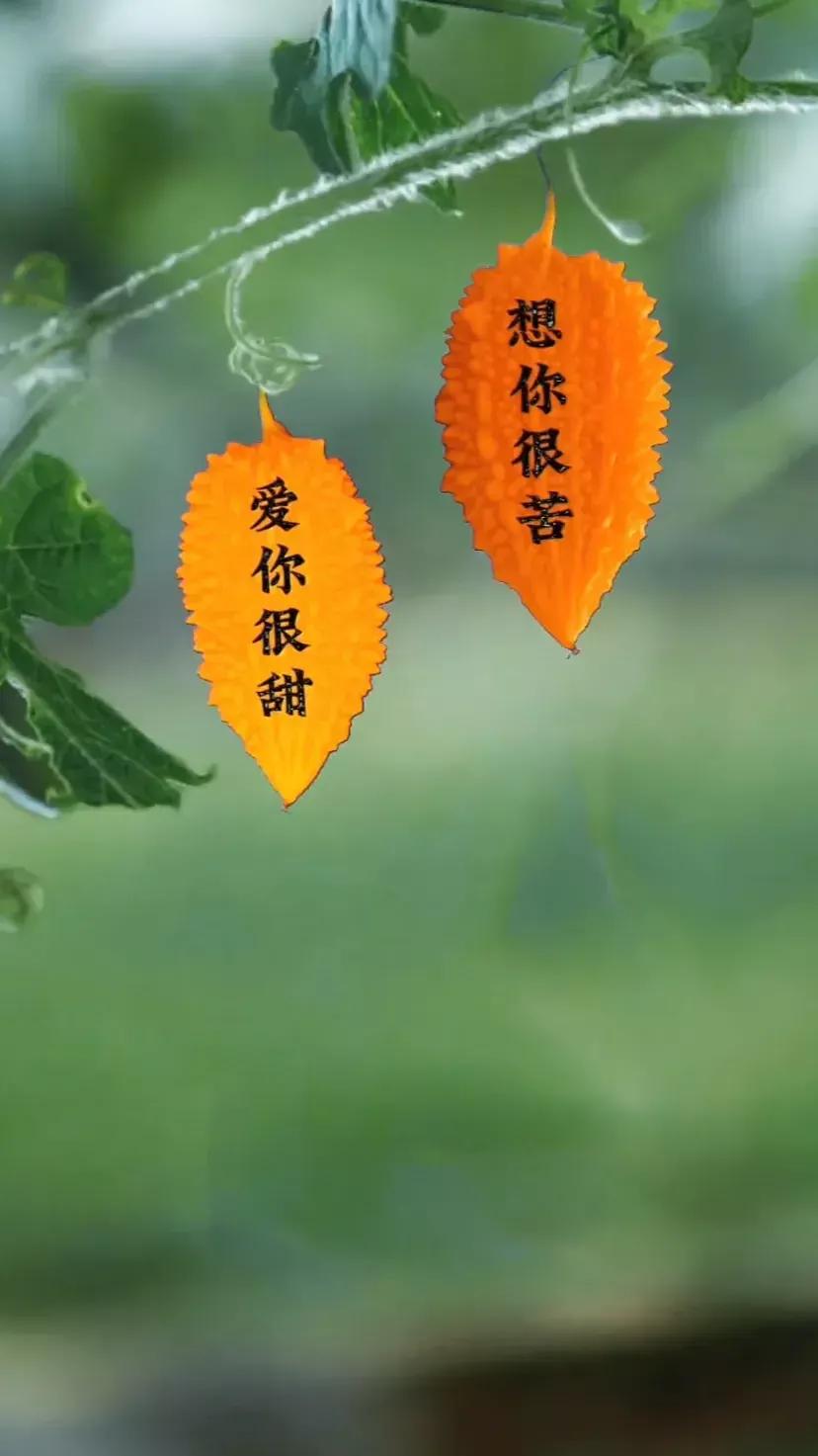 表白文案高级有深度20个字,表白的高级文案英文