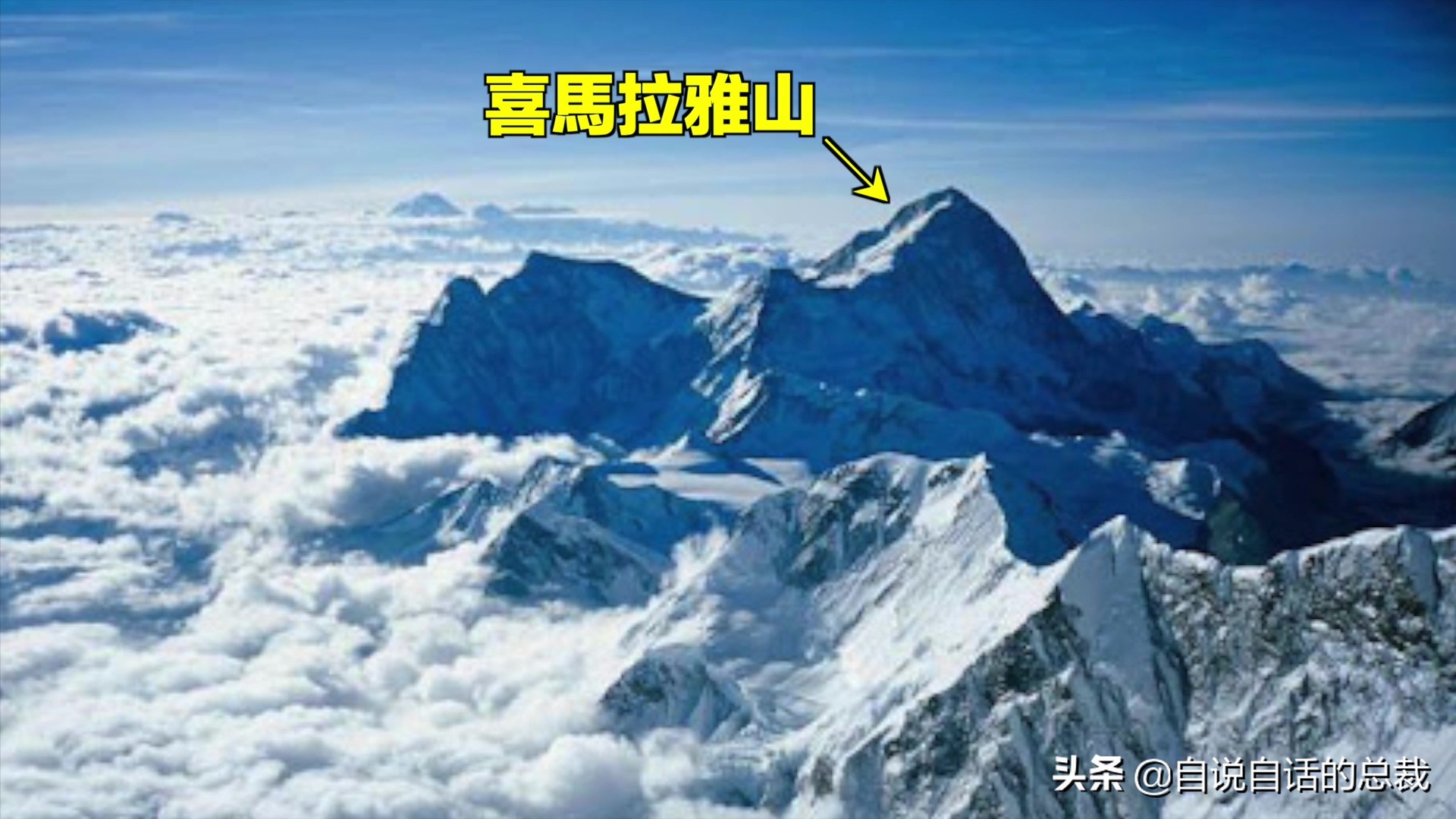 液体猫是真的吗,为什么都说猫咪是液体猫