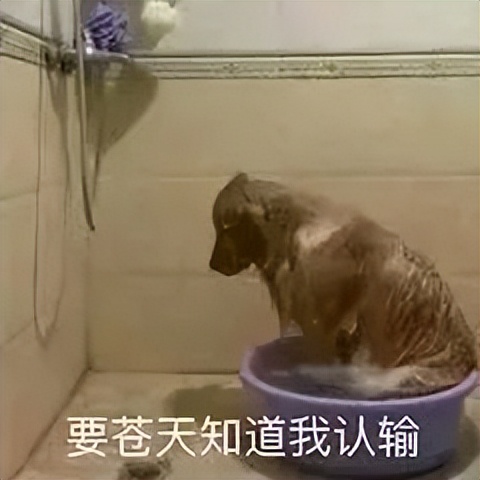 医生用小夹子为4名老人修好心门,76岁大爷心脏抢救