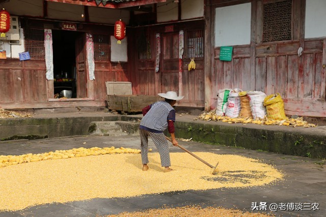 低保户低保被取消后该怎么办,农村低保为什么会取消