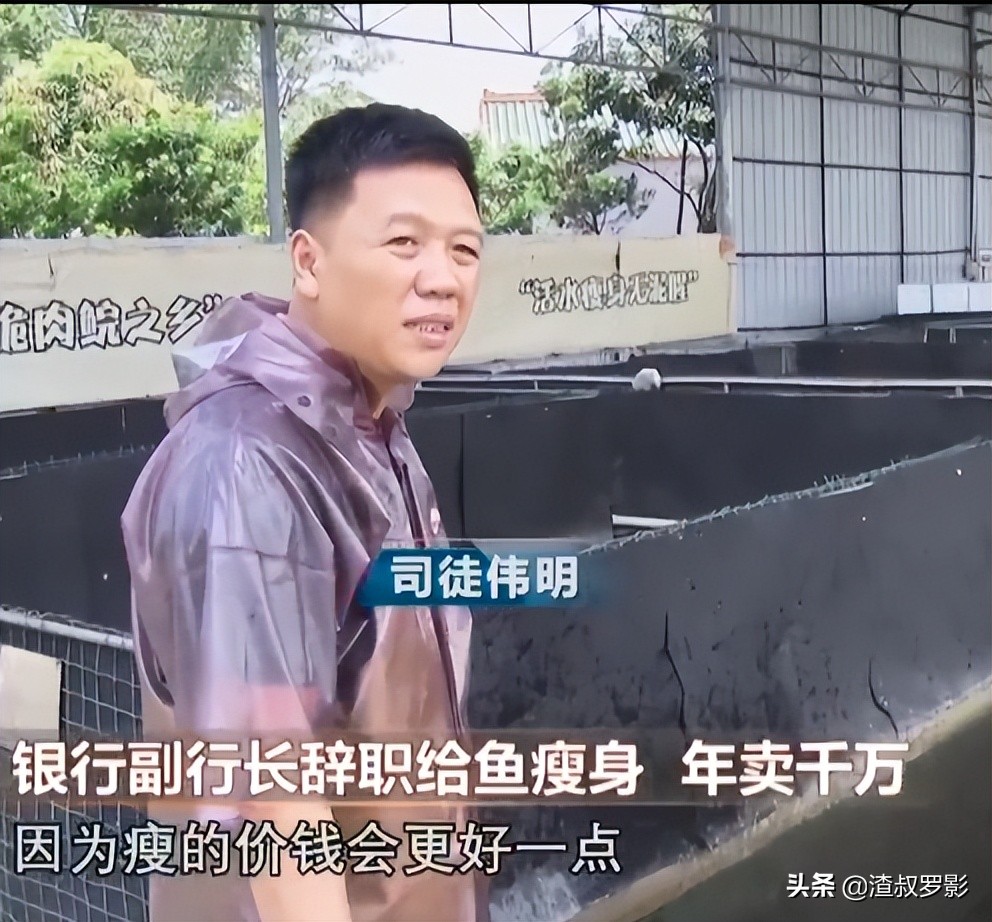 银行副行长辞职赚钱,中国银行副行长辞职