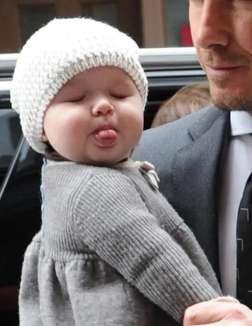 贝小七和贝克汉姆视频,贝小七贝克汉姆成长图片