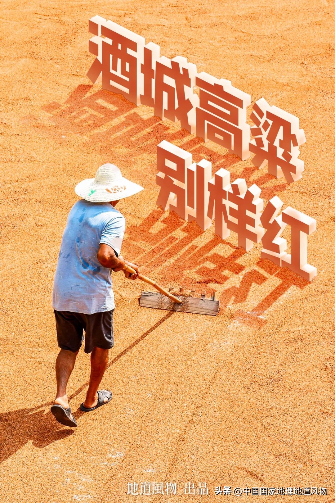 红高粱里的酒为什么是红的,红高粱里酒怎么是红的