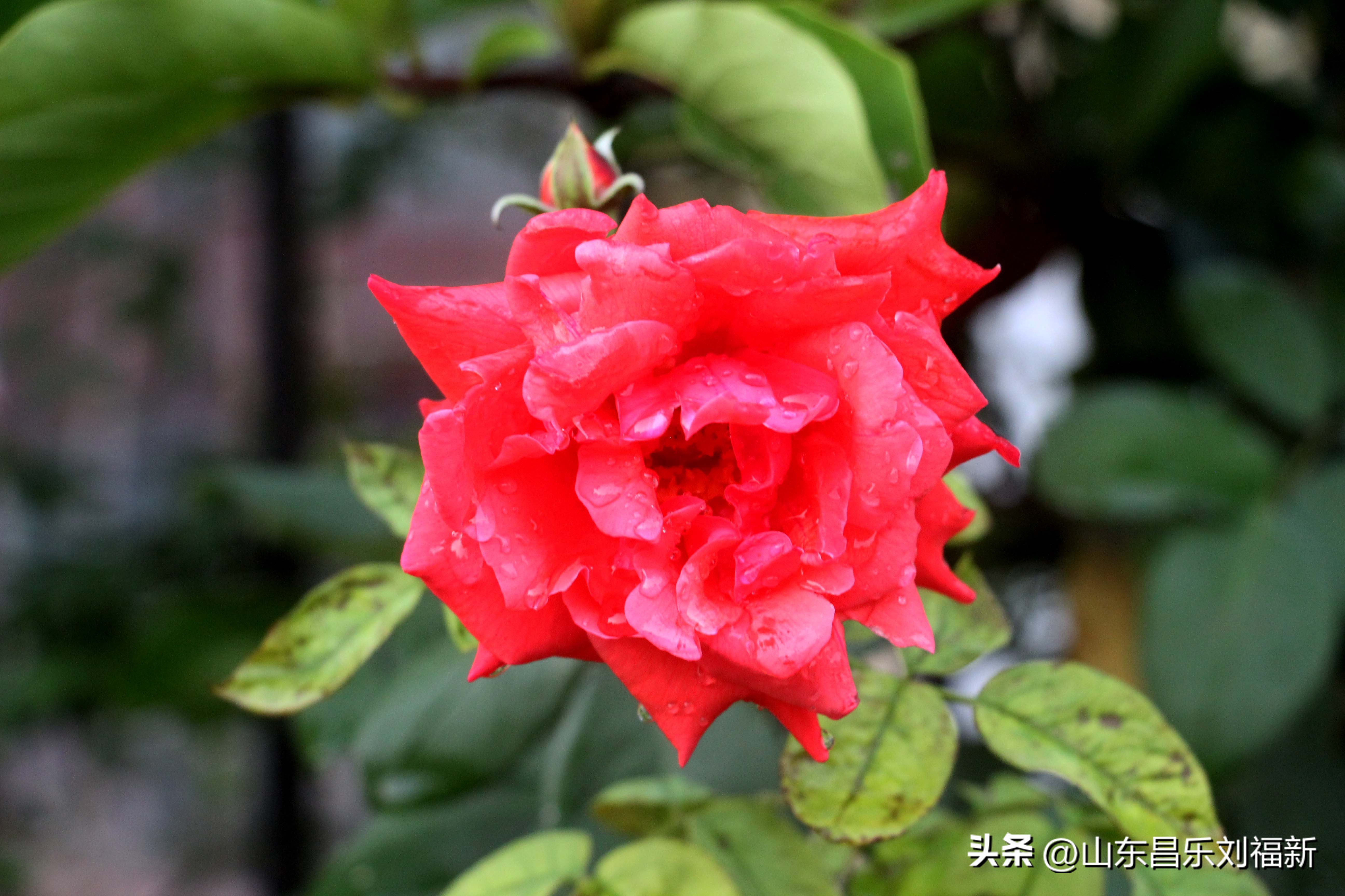 2023年8月20日有雨吗,2021年8月19日有没有下雨