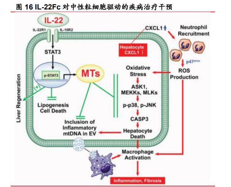 亿帆医药一季报,亿帆医药产品未来100倍的潜力股
