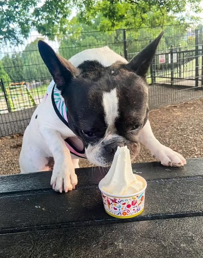 英国40度高温与中国40度高温,英国40度很热吗