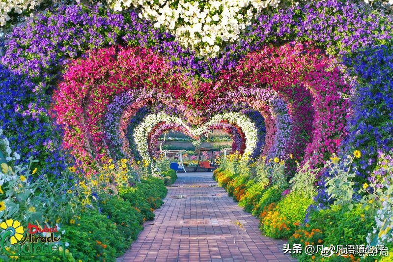 到迪拜6日游 (国旅的迪拜七日游)