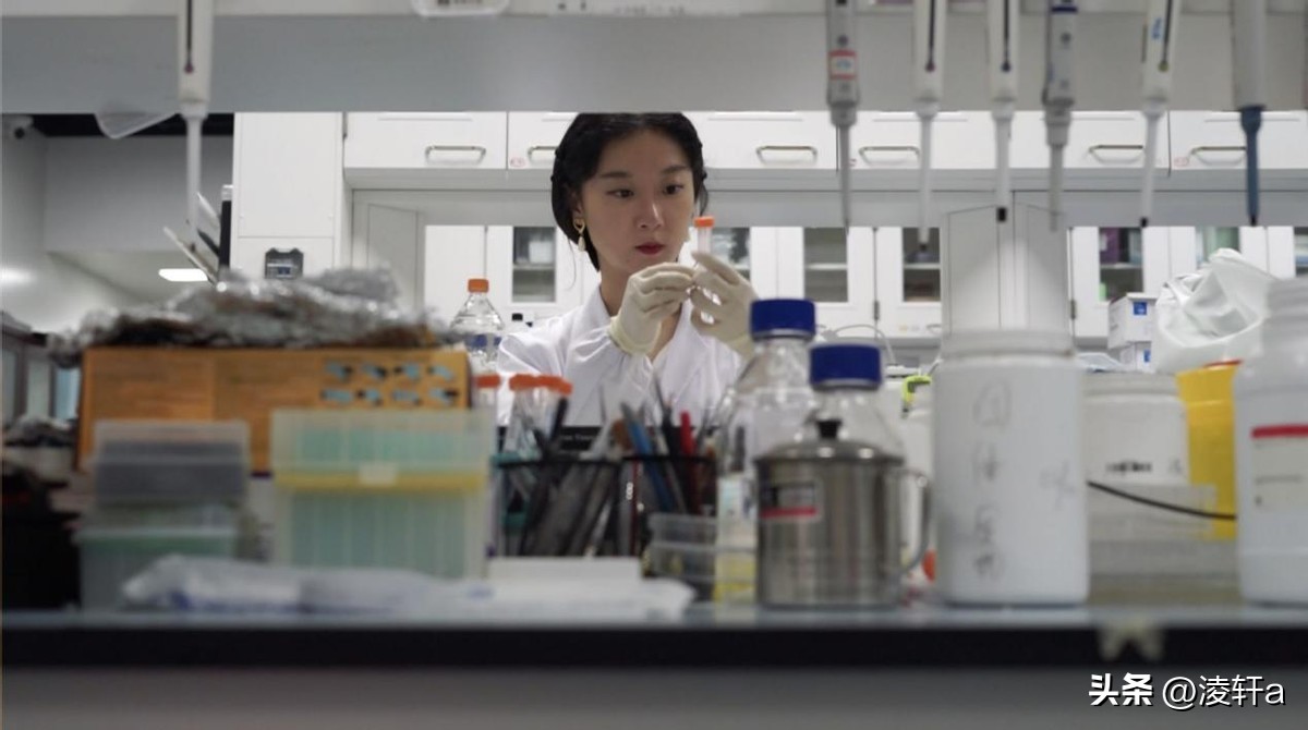 研究100种动物“*生活性**”后，牛津女博士发现人类与动物大同小异