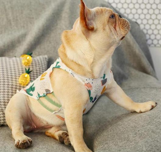 养了柯基不想养了能卖多少钱,养了柯基适合养猫么