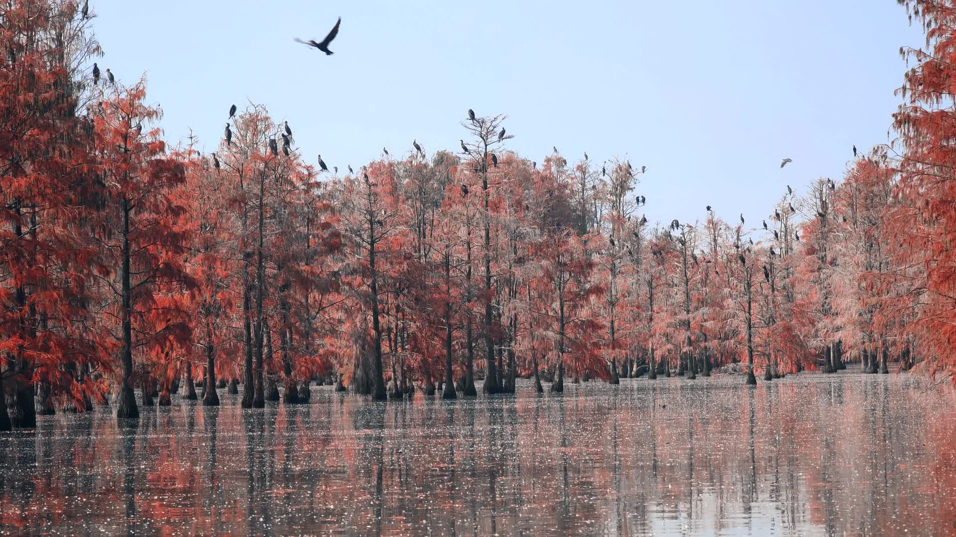 苏浙皖赣的旅游景点有多少,苏皖旅游景点推荐