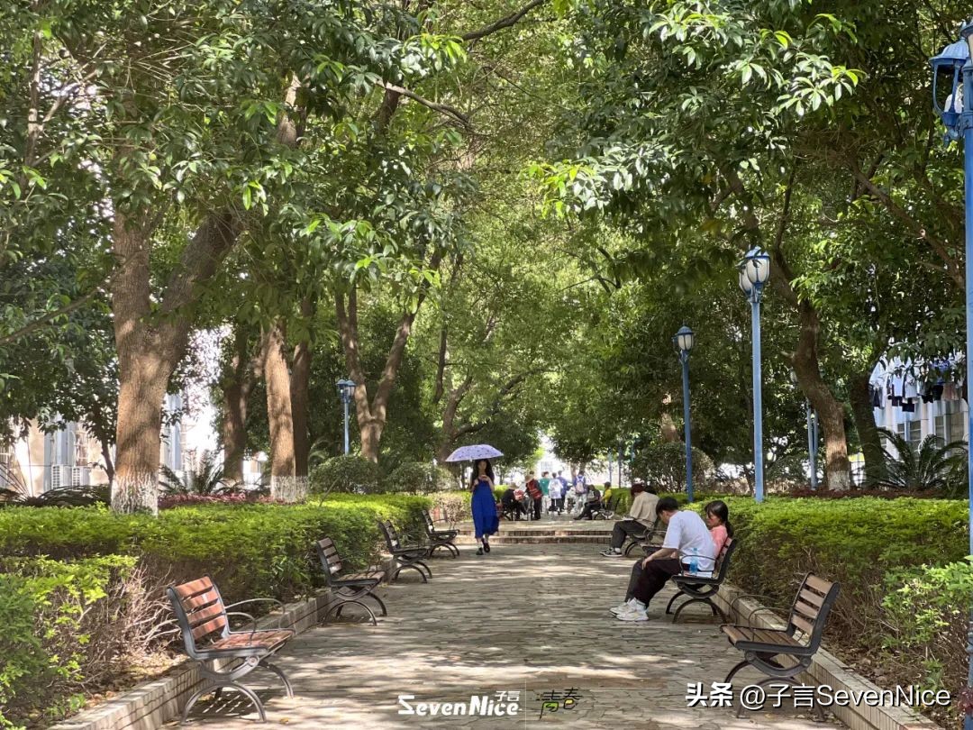 江西现代学院真实感受,江西现代学院最新信息