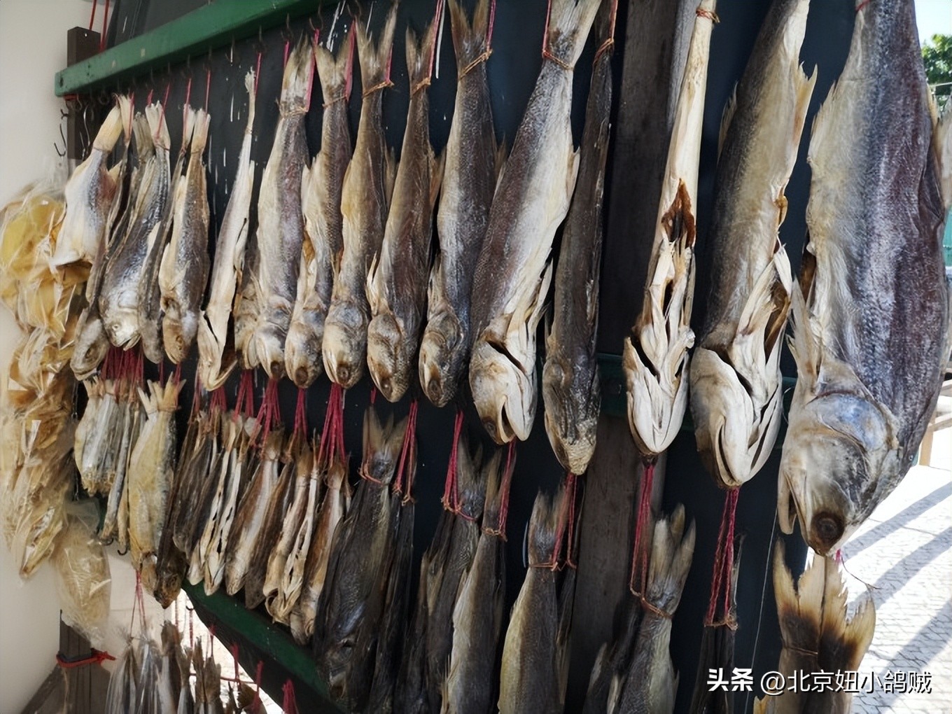 澳门值得去的三个地方 (澳门必去的一条街)