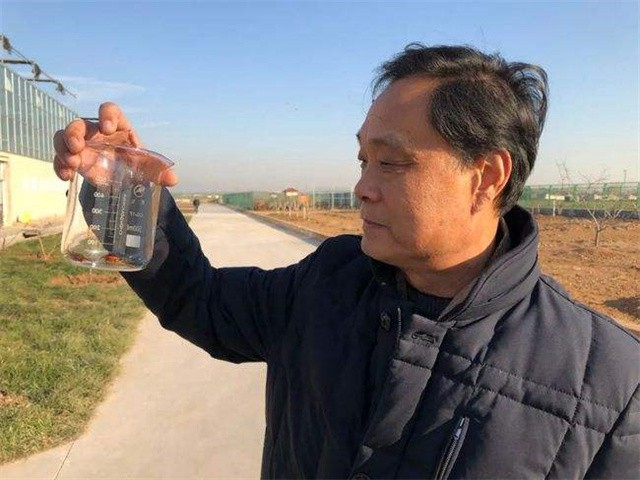 山东济南养殖蟑螂的李延荣,李延荣山东蟑螂处理垃圾第一人