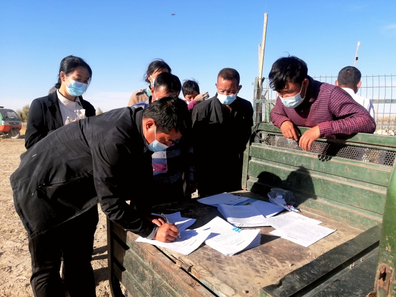 致富路上喜洋洋,养殖致富路