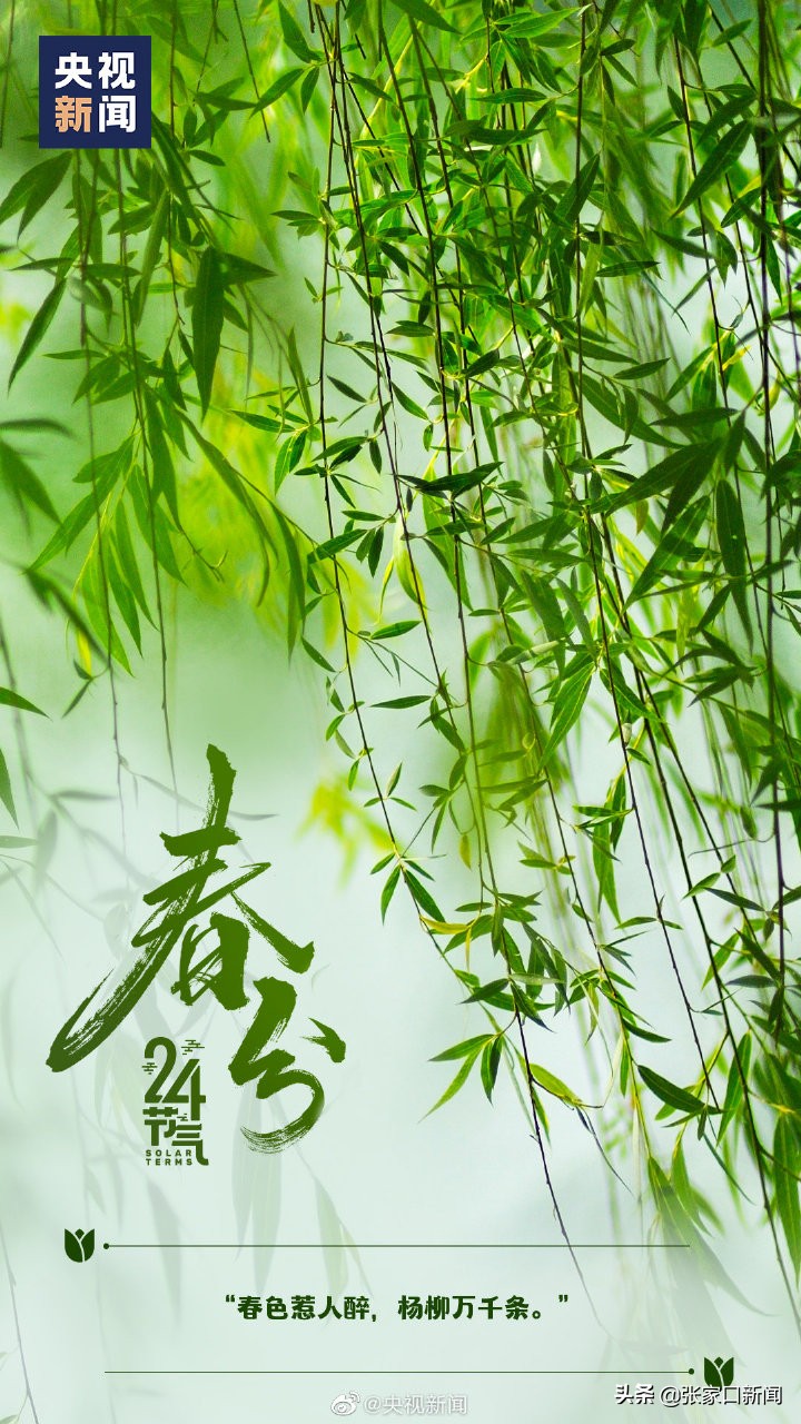 今日23时33分春分,今日几点几分春分