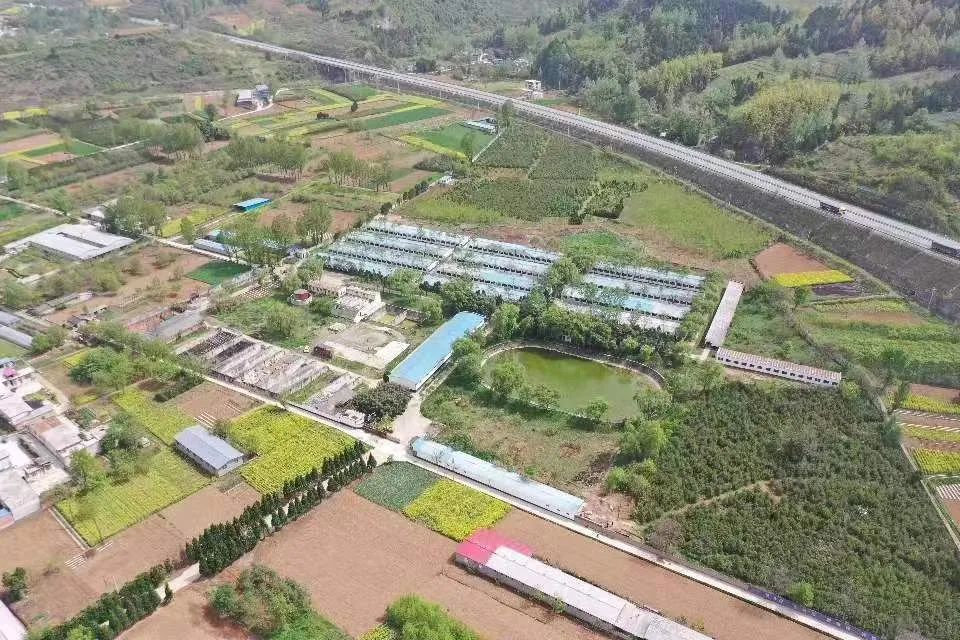 成县红川镇项目建设,多招商引资带动镇经济快速发展