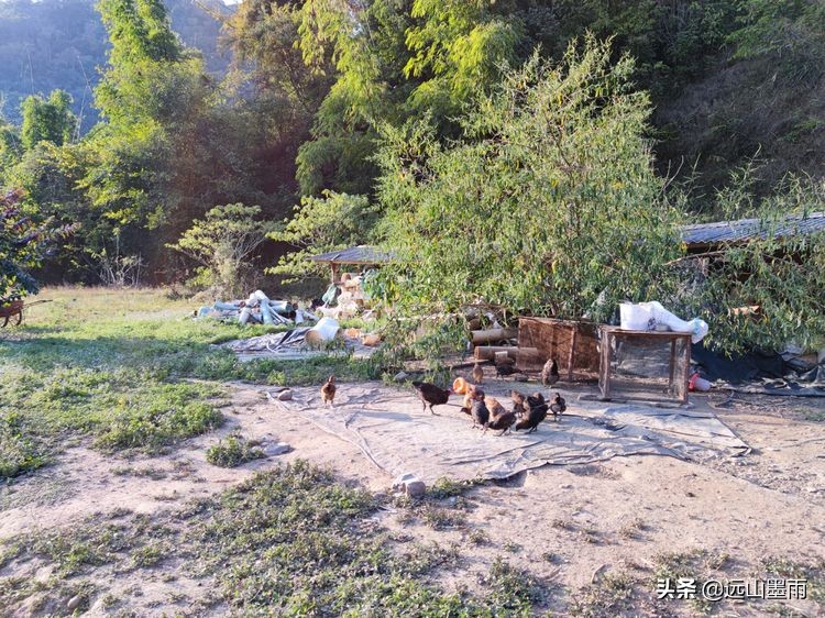 溪流潺潺、白茅飘飘，鲟鱼肥硕、菜蔬新鲜，景谷铁厂河畔的慢时光