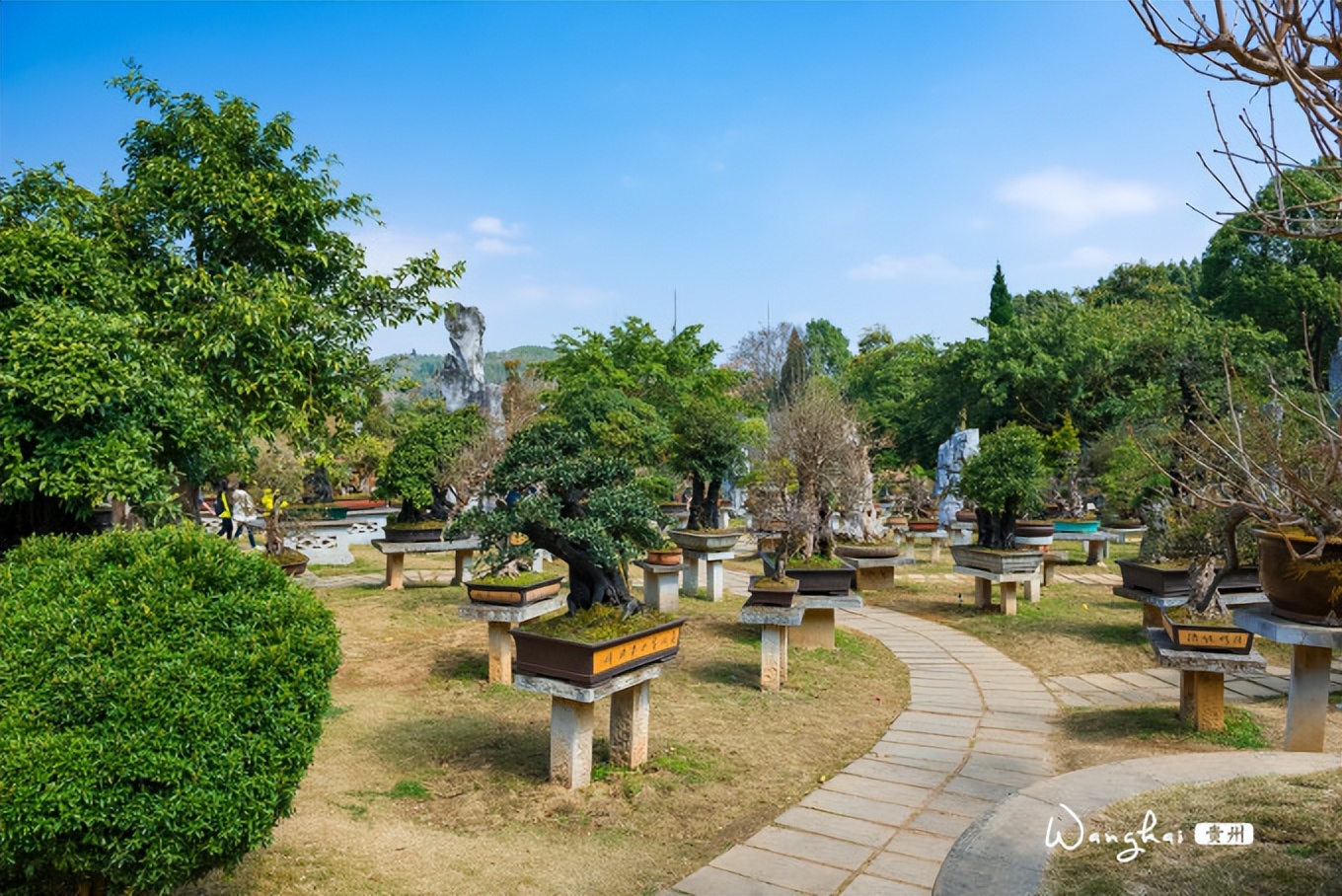 黄果树风景名胜区使用攻略,黄果树景区从哪个门进比较好