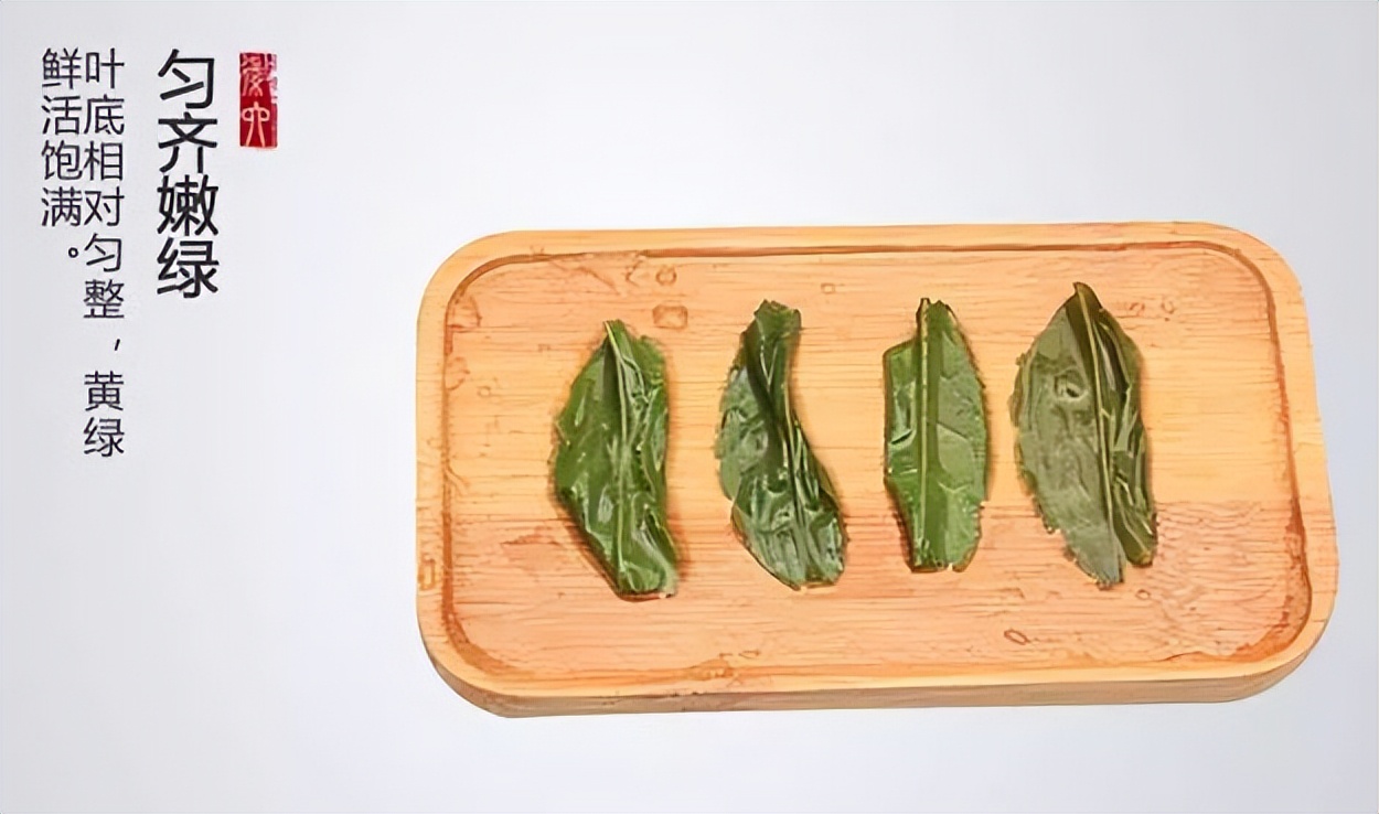 世界上唯一的绿茶六安瓜片,中国有名的茶叶六安瓜片