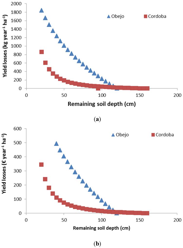西班牙产出优质的橄榄的地理条件,橄榄种植历史