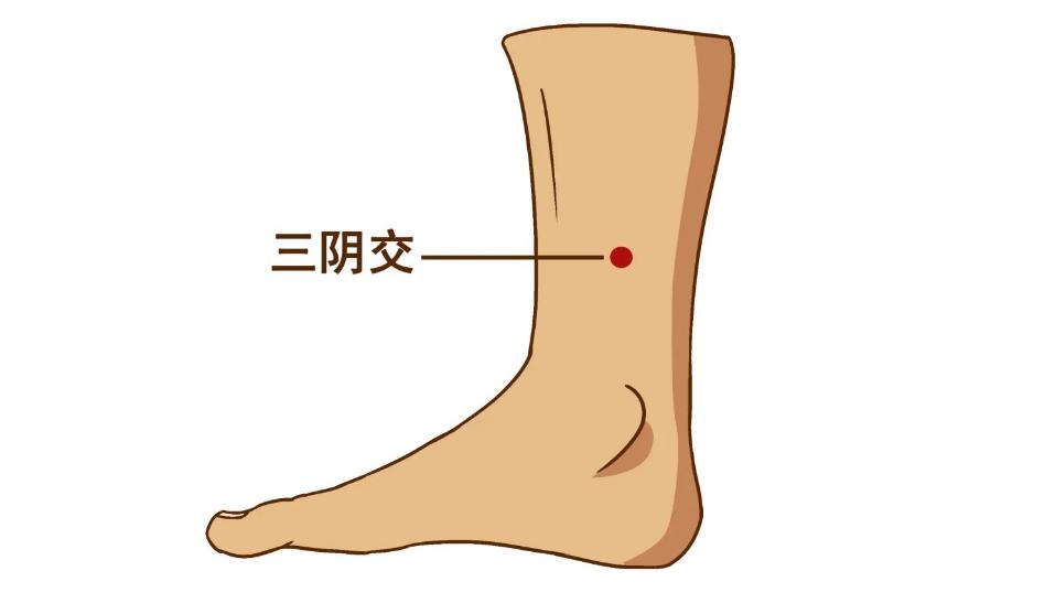 想不到，用这个方子不到一个月，气血两亏导致的月经不调竟然好了