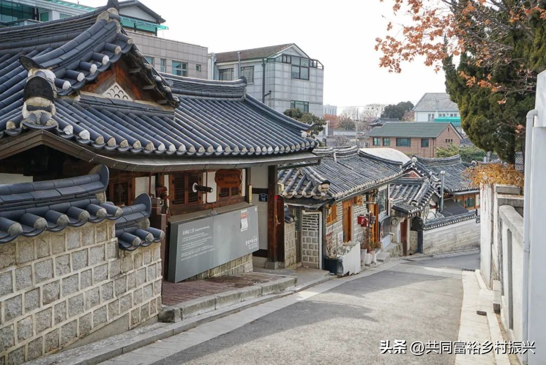 以数字经济助力乡村产业振兴案例,基层党建引领乡村振兴主要案例