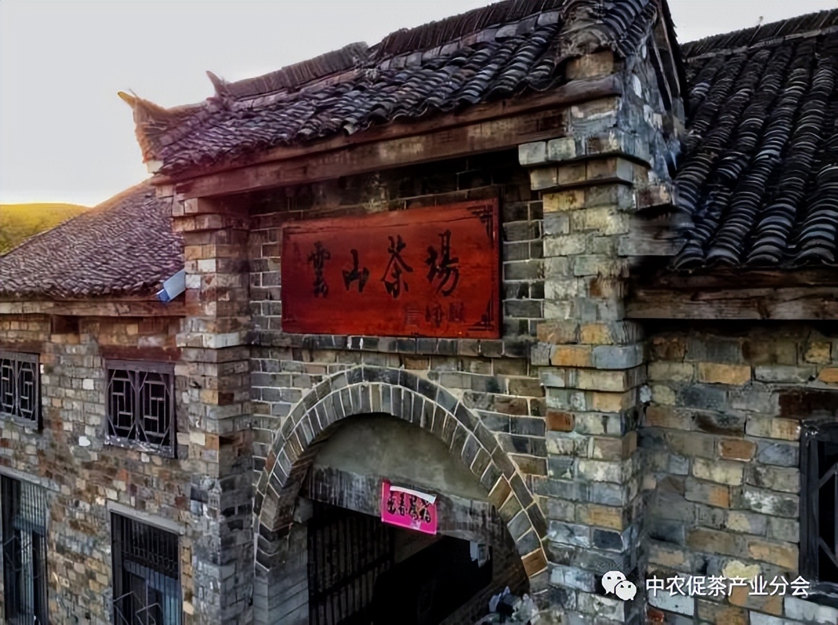 娌冲崡淇￠槼绾㈠煄鑼朵埂,鏂板幙绾㈠煄鑼朵埂