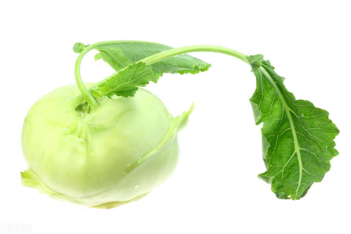 小满节气食谱大全及做法,小满应季食材和菜肴