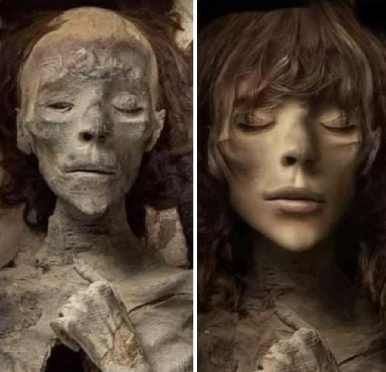 30张活久见的对比照,鳄鱼被电鳗电死的视频