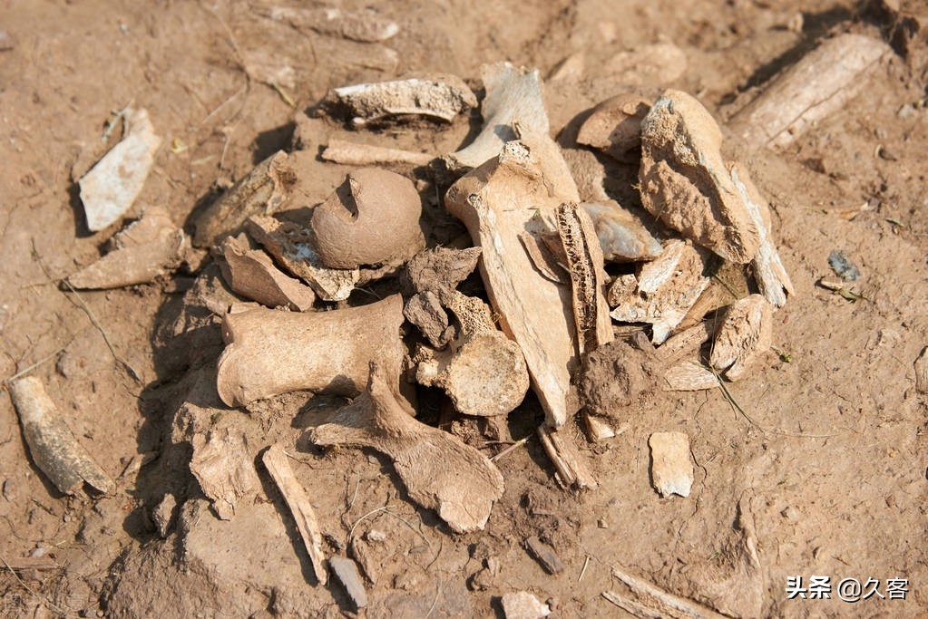 四川彝族巫术,四川古蜀文明有多神秘