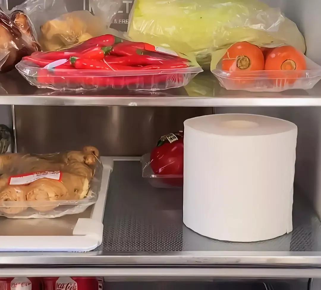 冰箱有异味如何快速的去异味,生活小妙招除去冰箱异味指南