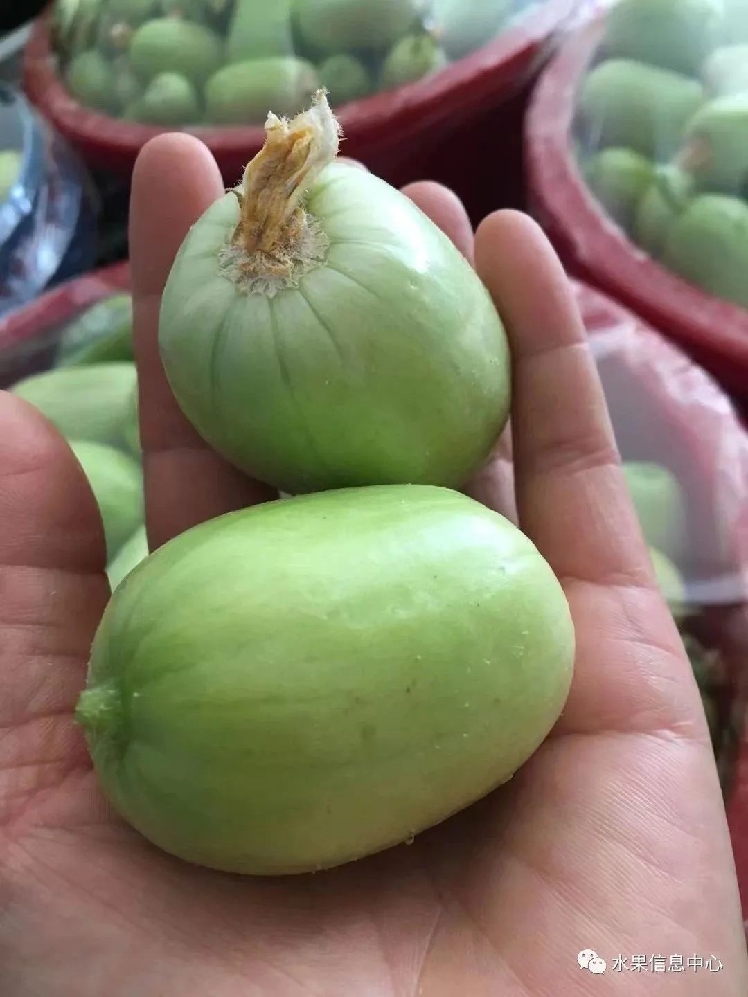 盘点那些迷你的东西,盘点不同样子的水果