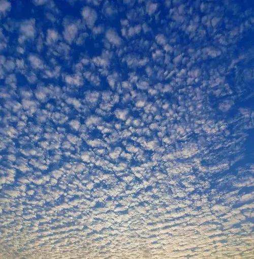 天上鲤鱼斑，明天晒谷不用翻是什么意思呢？