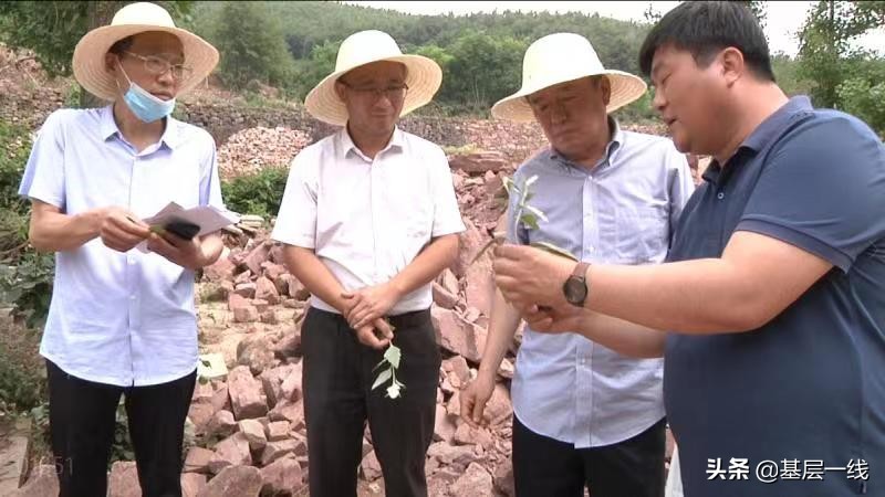 县科协全国科普日筹备会,市科协举办系列科技工作者日活动