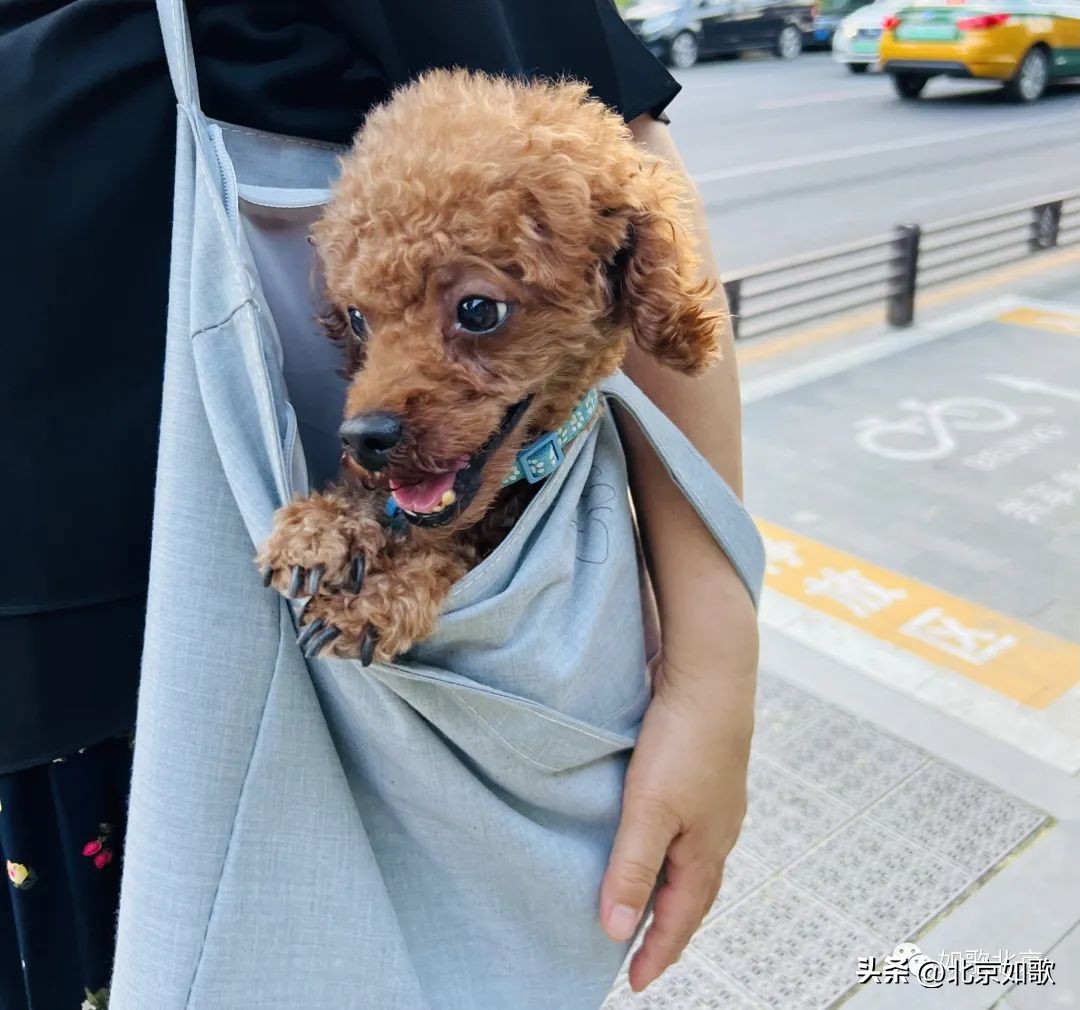 新式催婚,严重代沟