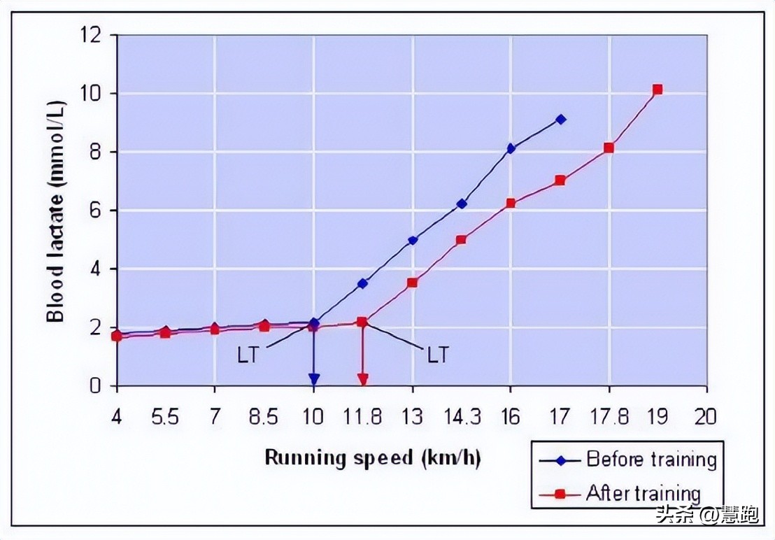 从小白到职业健身选手,从小白到健身一年的变化
